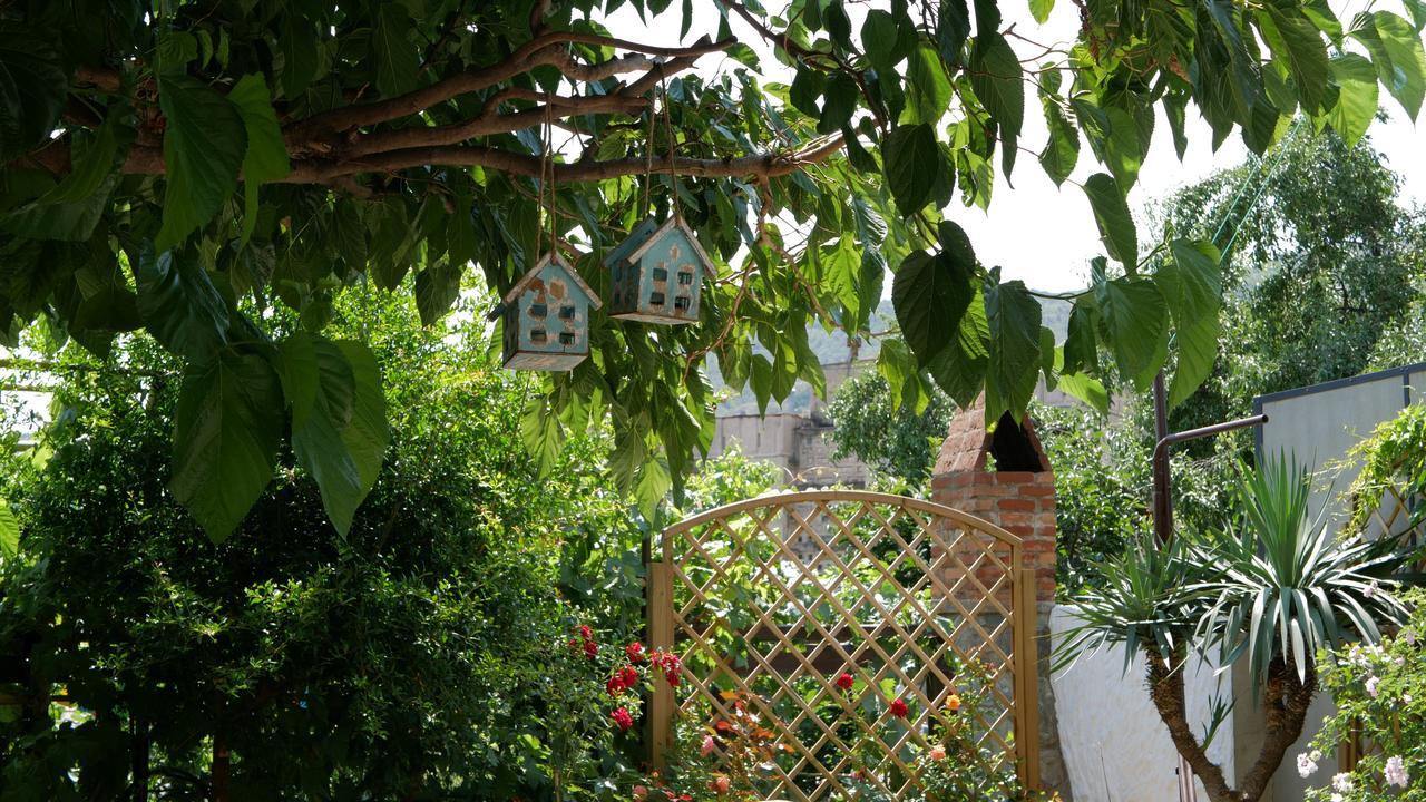 Hotel My Garden Tbilisi Exteriér fotografie
