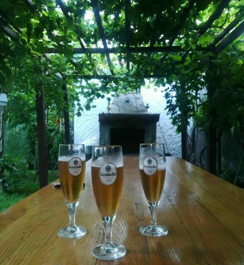 Hotel My Garden Tbilisi Exteriér fotografie