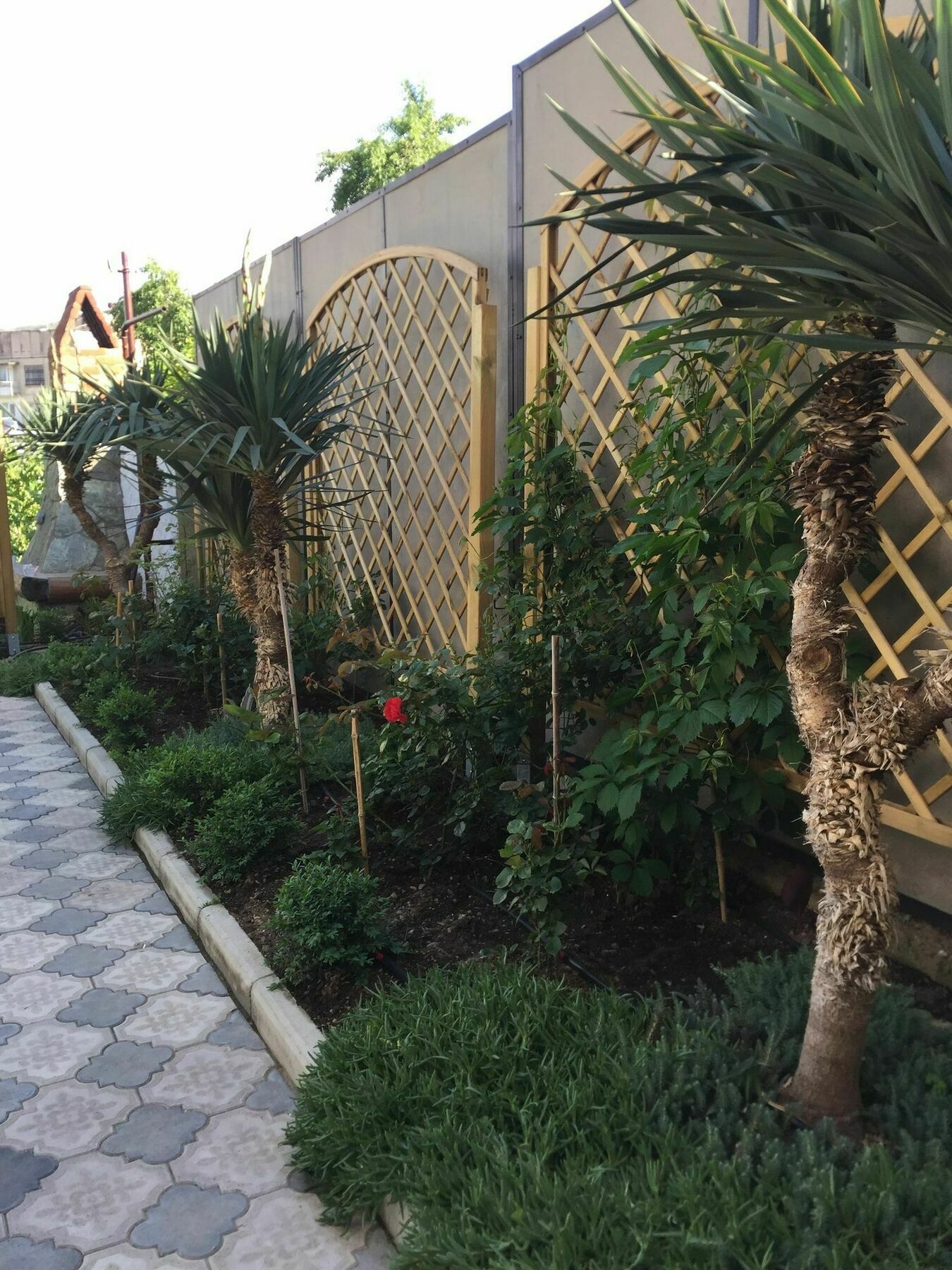 Hotel My Garden Tbilisi Exteriér fotografie